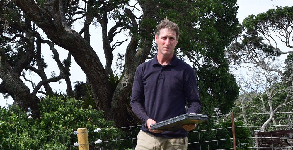 geotech consultant northland