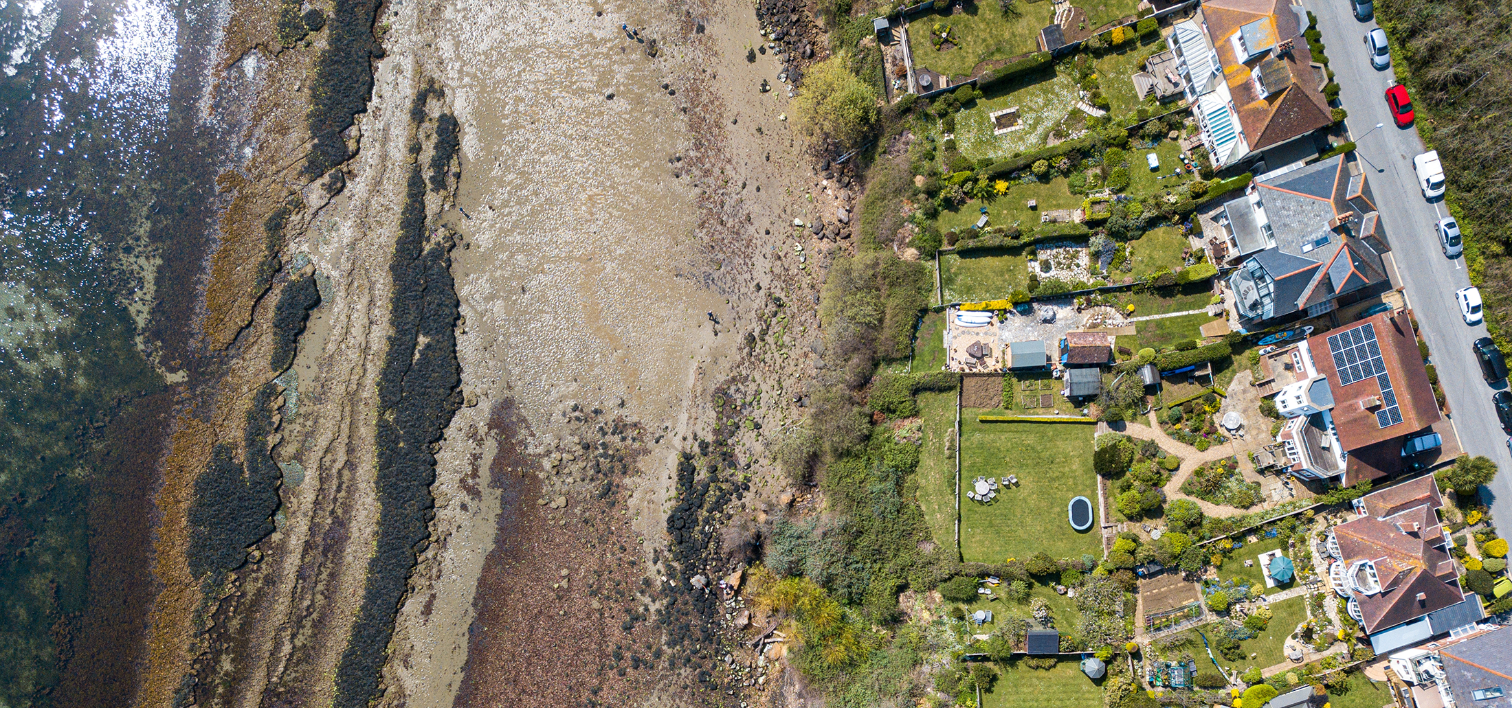 Pre-purchase appraisal