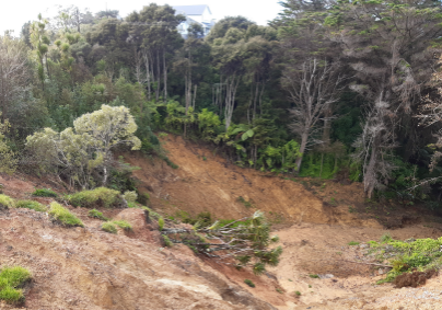 Stability, Landslide and Hazard Assessments in Northland NZ